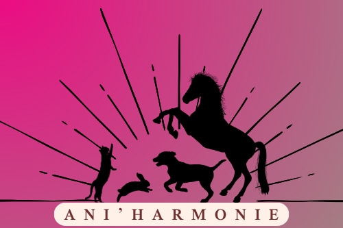 Ani'harmonie
